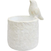 Planter Bird Of Paradiso